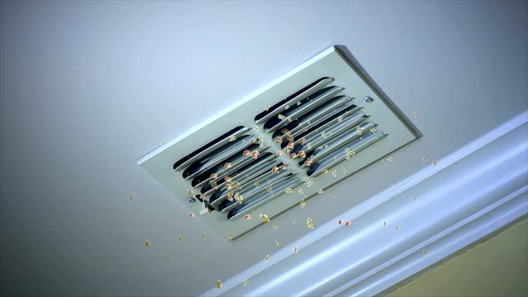 Best Commercial HVAC Duct Cleaning  in Kendale Lakes, FL