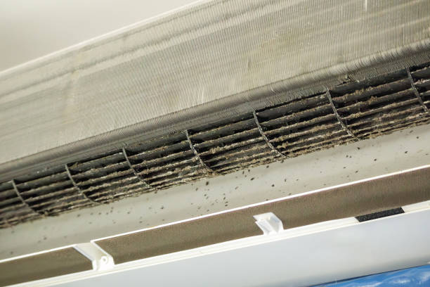 Best Affordable HVAC Duct Cleaning  in Kendale Lakes, FL