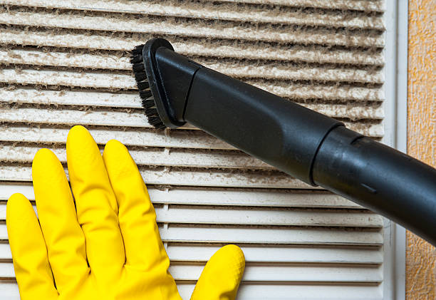 Best Home Air Vent Cleaning  in Kendale Lakes, FL
